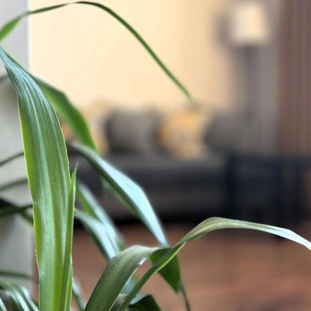 ורשה Airport Residence Amber מראה חיצוני תמונה