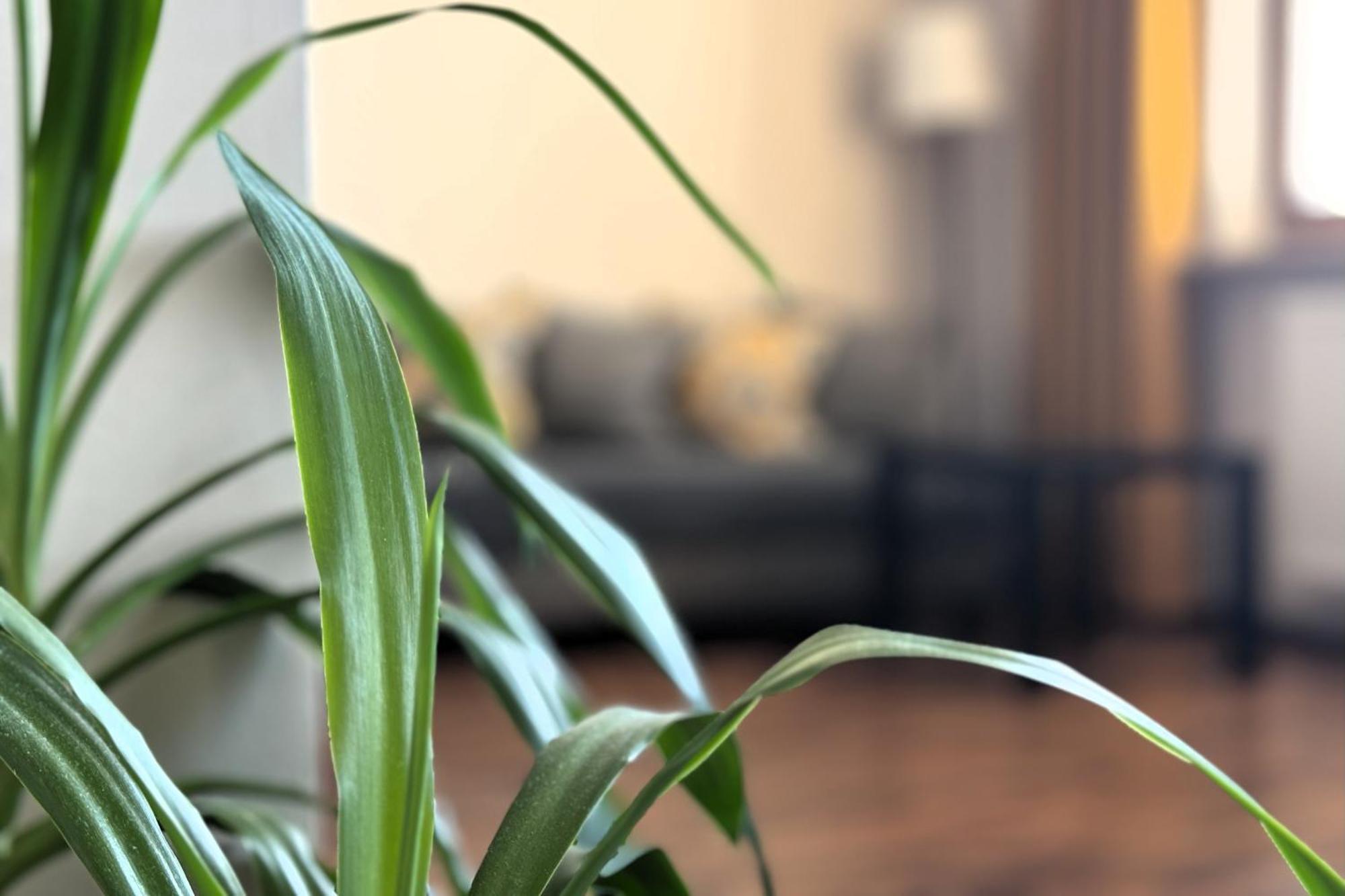ורשה Airport Residence Amber מראה חיצוני תמונה